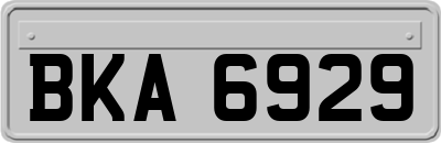 BKA6929