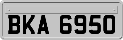 BKA6950