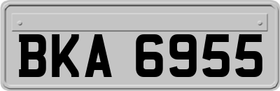 BKA6955
