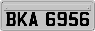 BKA6956