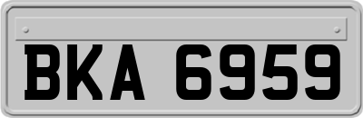 BKA6959