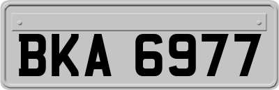 BKA6977