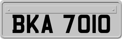 BKA7010