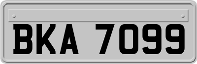 BKA7099