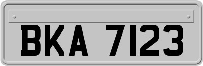 BKA7123