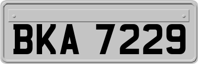 BKA7229