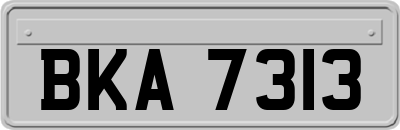 BKA7313