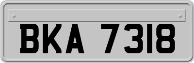 BKA7318