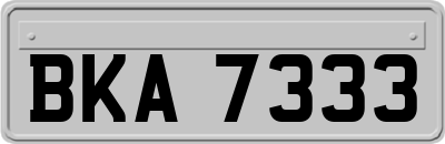 BKA7333