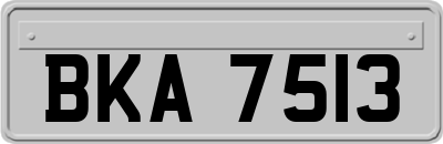 BKA7513