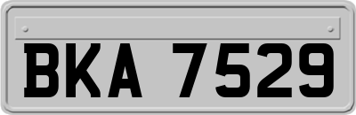 BKA7529