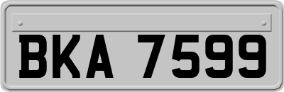 BKA7599