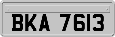 BKA7613