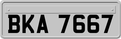BKA7667