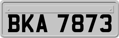 BKA7873