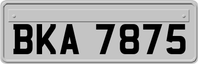 BKA7875