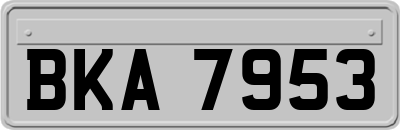 BKA7953