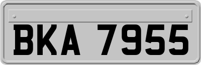 BKA7955