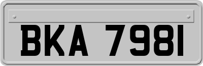 BKA7981