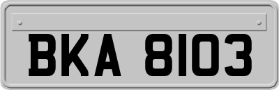 BKA8103