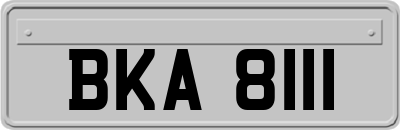 BKA8111