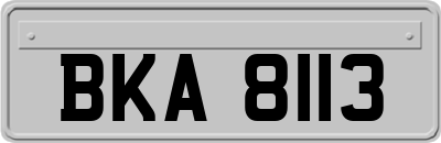 BKA8113