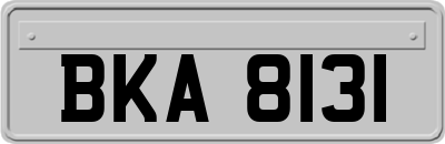 BKA8131
