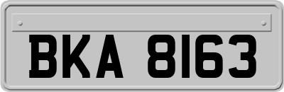 BKA8163