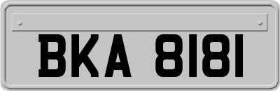 BKA8181