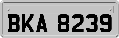 BKA8239