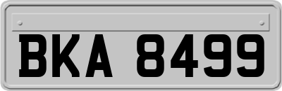 BKA8499