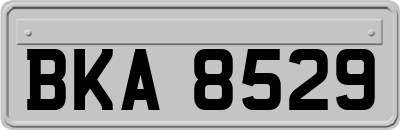 BKA8529