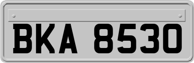 BKA8530