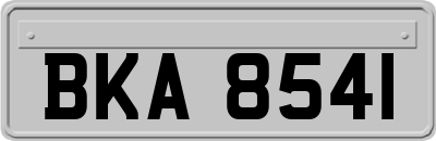 BKA8541