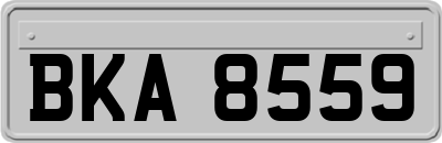 BKA8559
