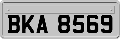 BKA8569