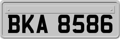 BKA8586