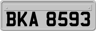 BKA8593
