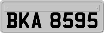 BKA8595