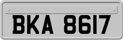 BKA8617
