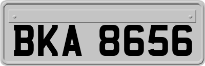 BKA8656