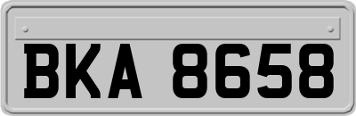BKA8658