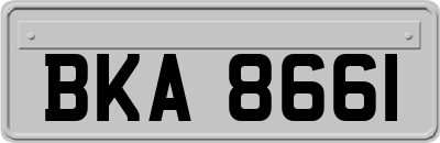 BKA8661