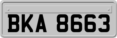 BKA8663