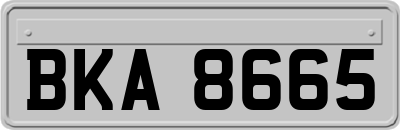 BKA8665