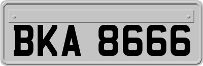 BKA8666