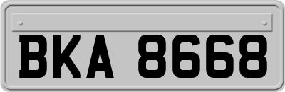 BKA8668