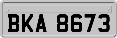 BKA8673