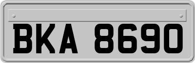 BKA8690