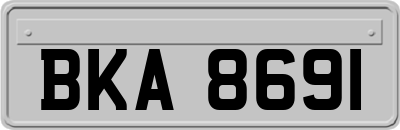 BKA8691